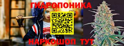 гашик Кинель